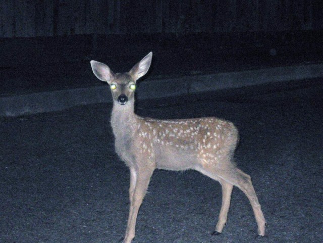 5bd795863de02.image
