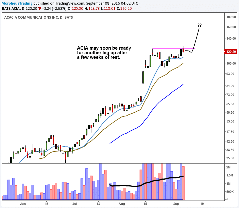 $ACIA daily