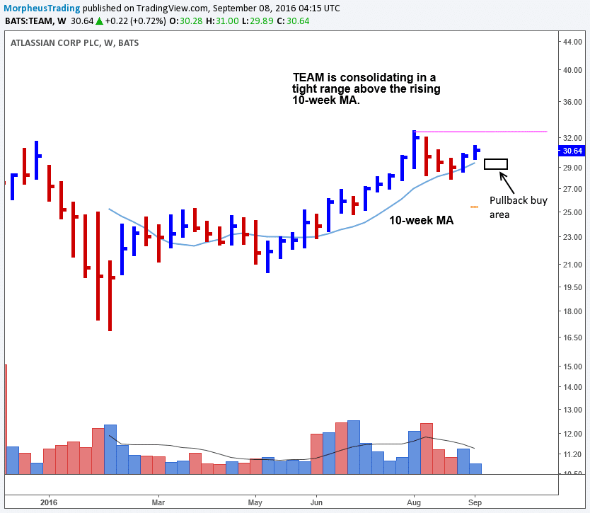 $TEAM daily