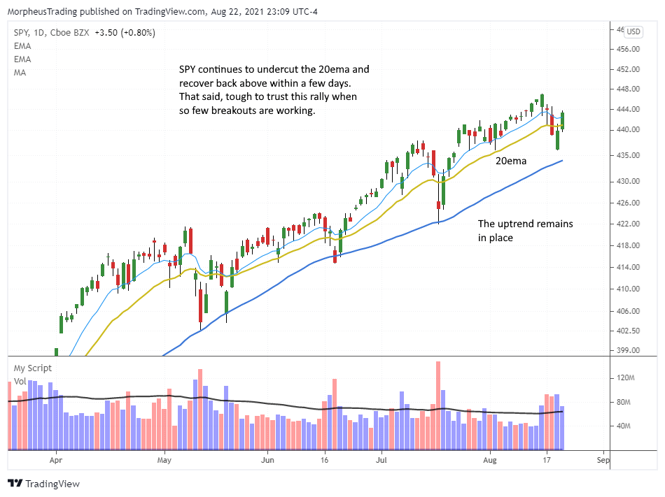 $SPYdaily