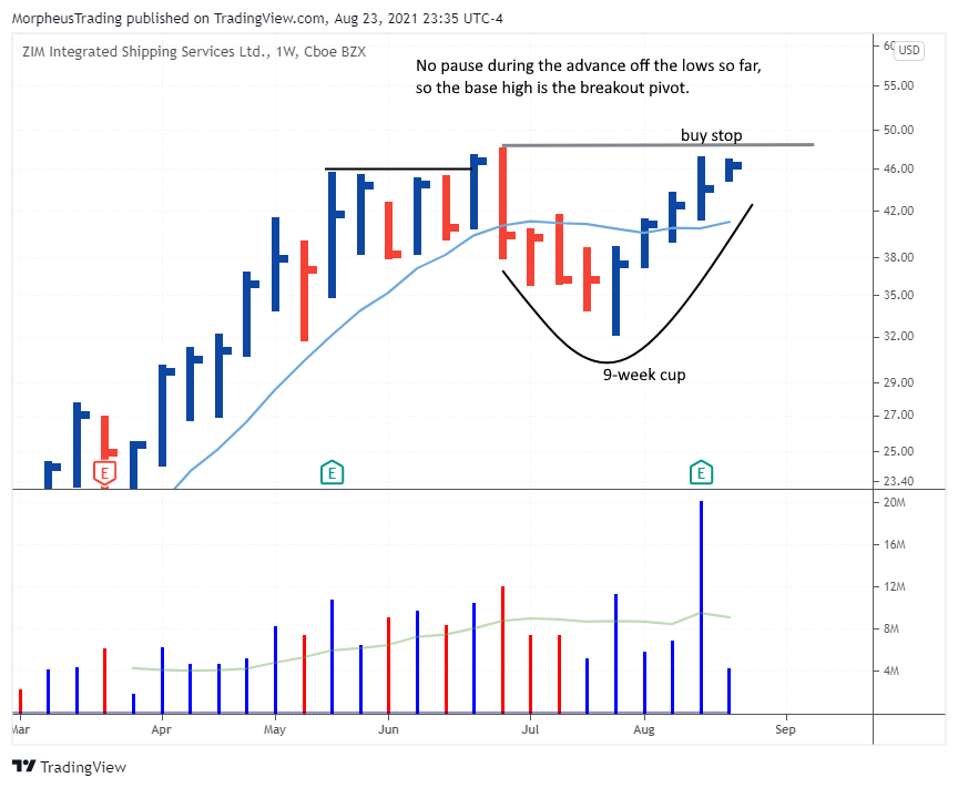 $zim weekly