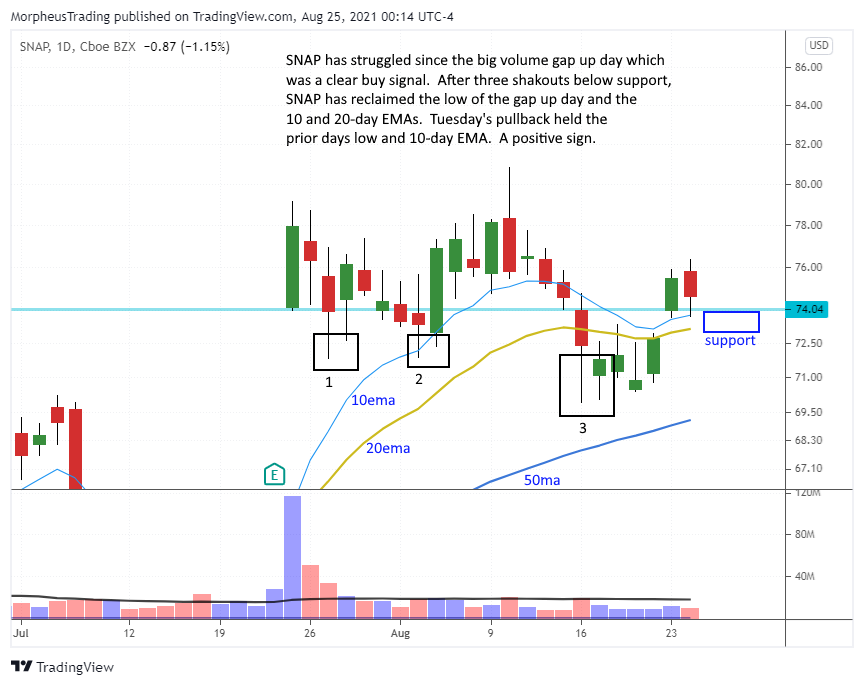 $snap daily