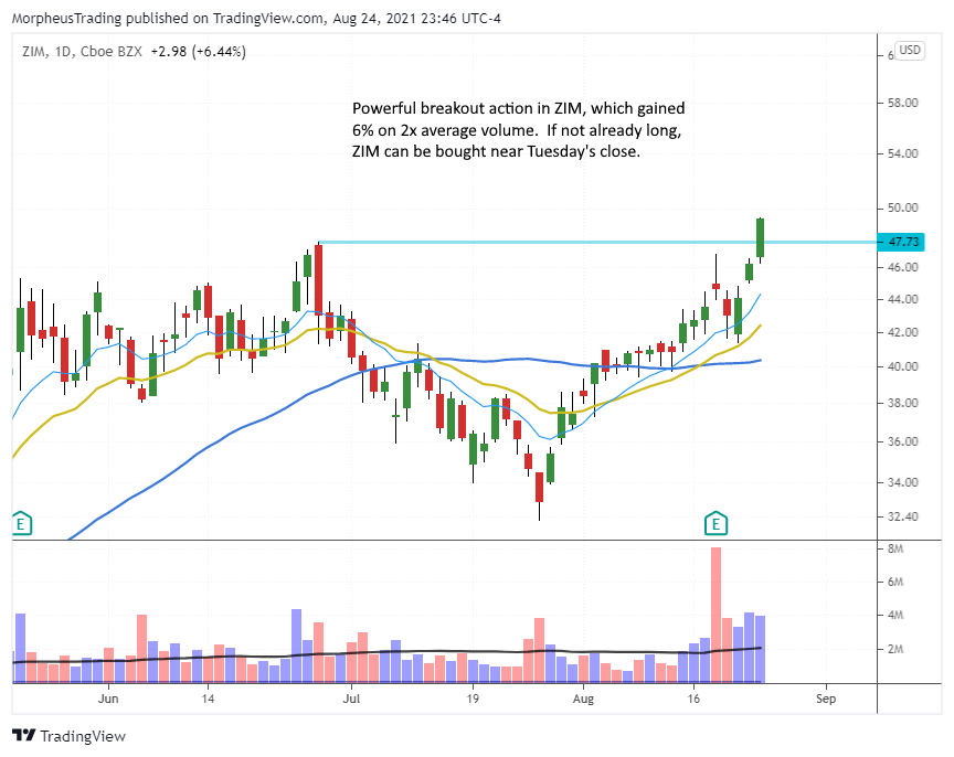 $ZIM daily