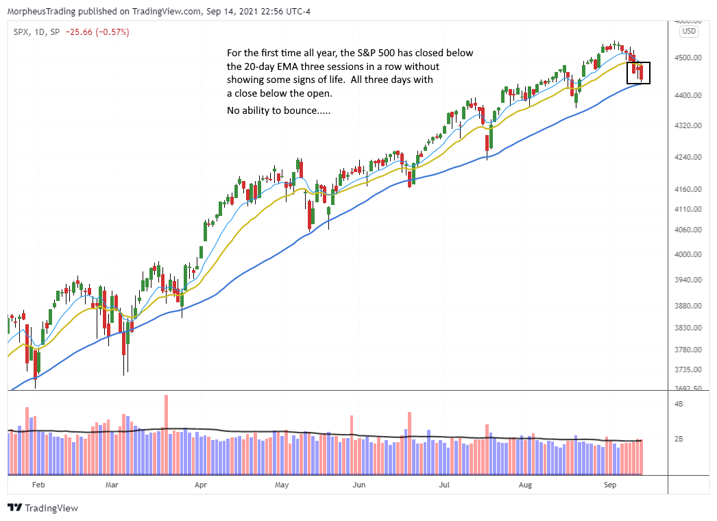 $SPY daily