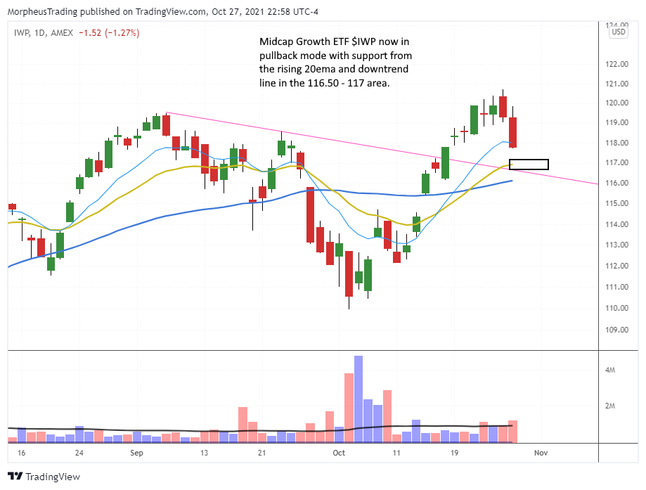 IWP daily