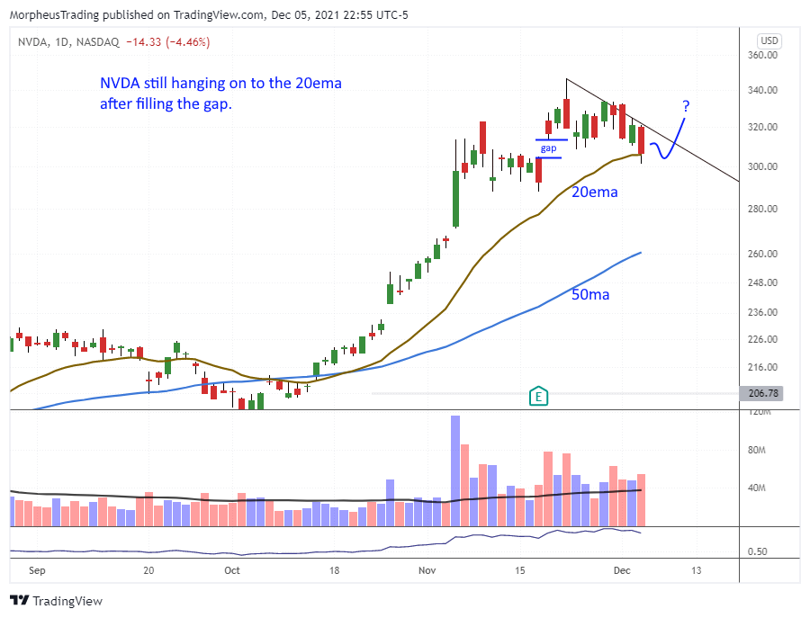 NVDA daily