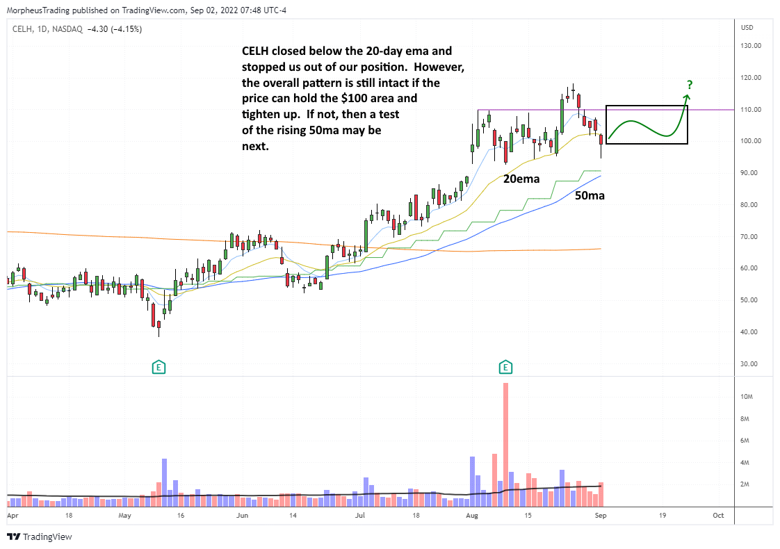 The Wagner Daily - $ARRY Outshines as Stocks Trigger Stops 6 CELH daily