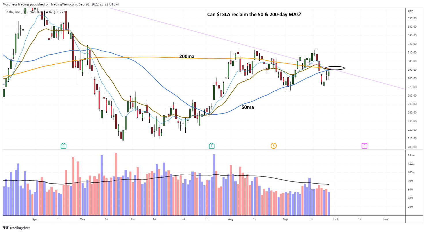 The Wagner Daily - $MOS: Potential Short on Bounce 7 TSLA daily