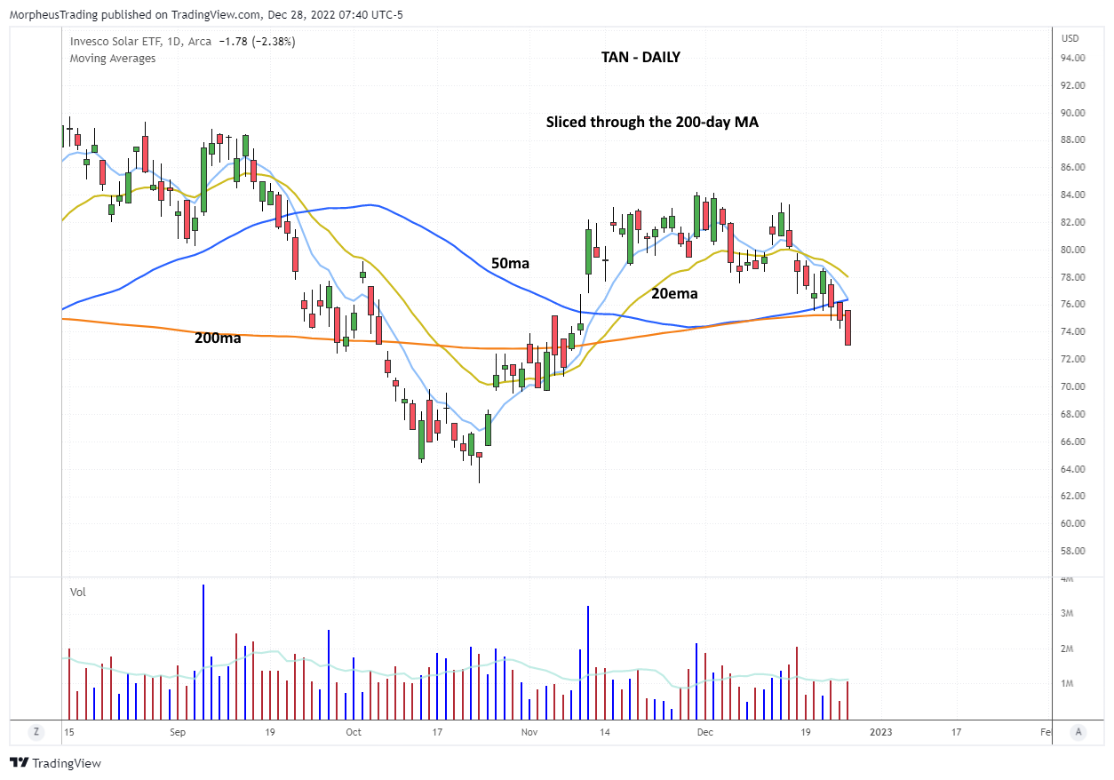 $TAN DAILY